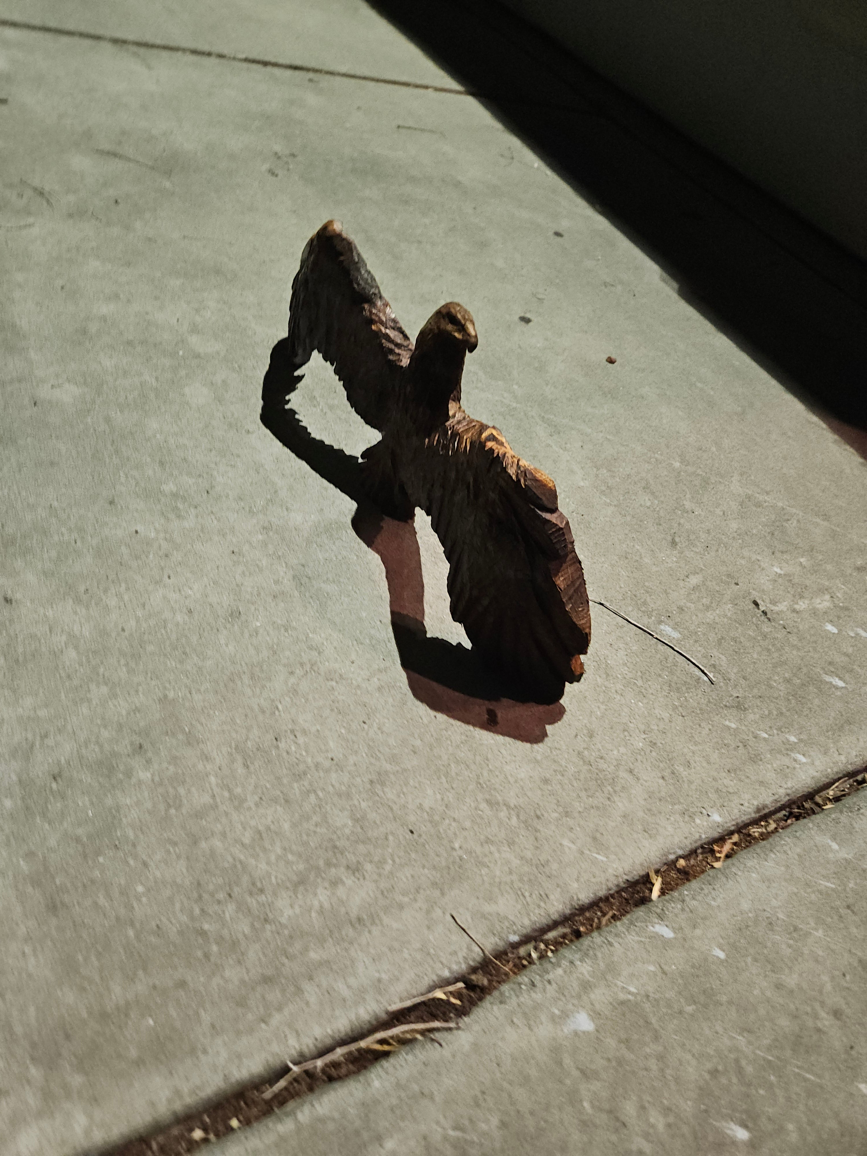 Scale Eagle Carving