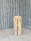 Bear in a Log