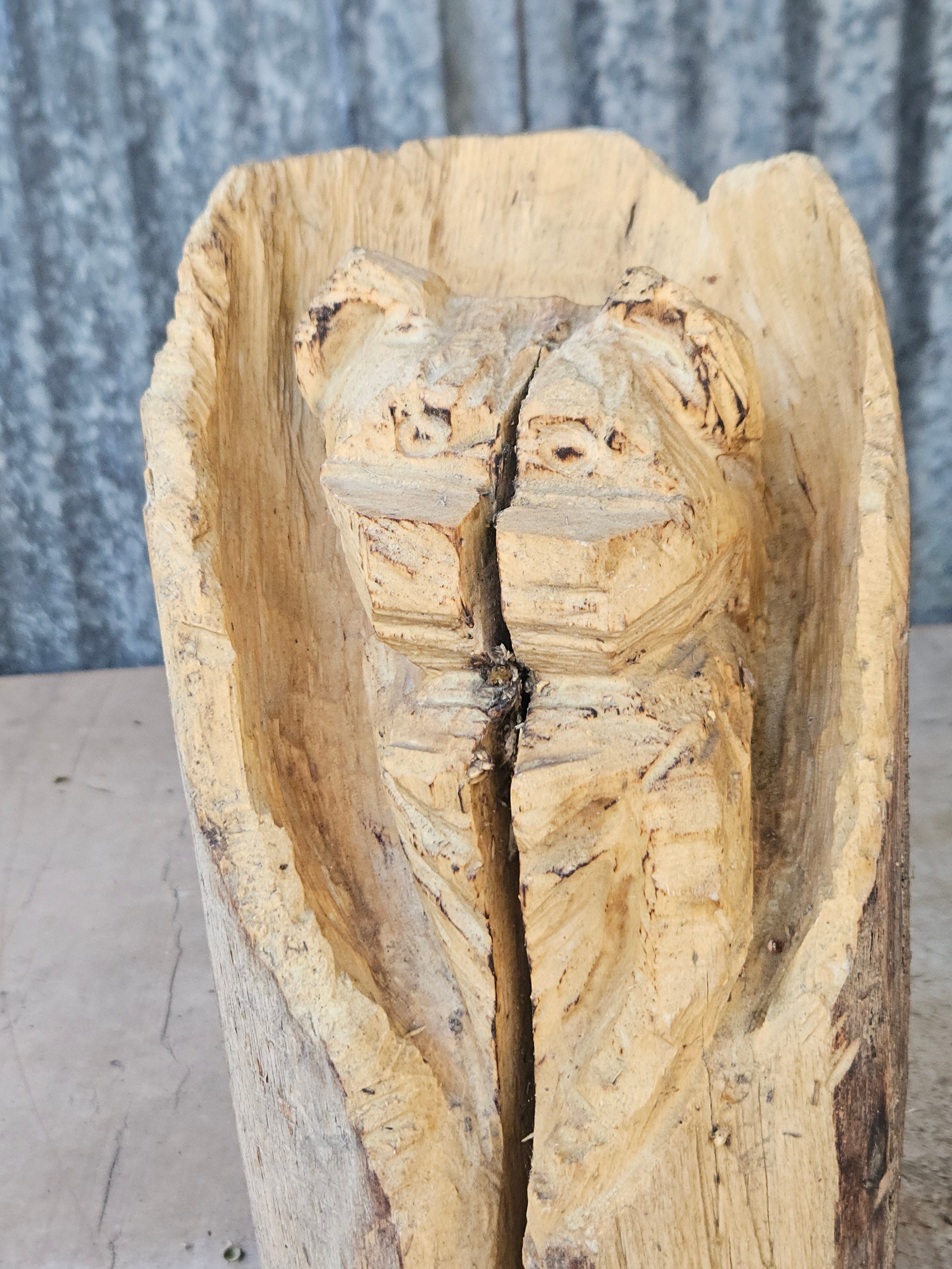 Bear in a Log