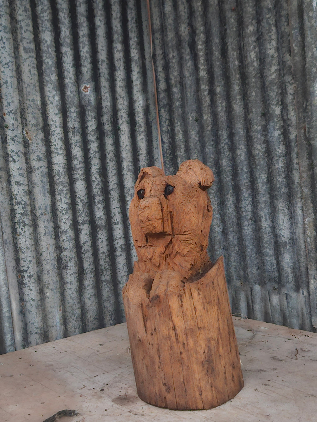 Bear in a Log