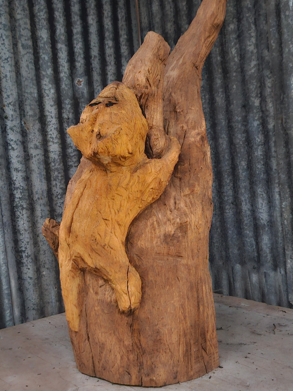 Animal Climbing a Tree