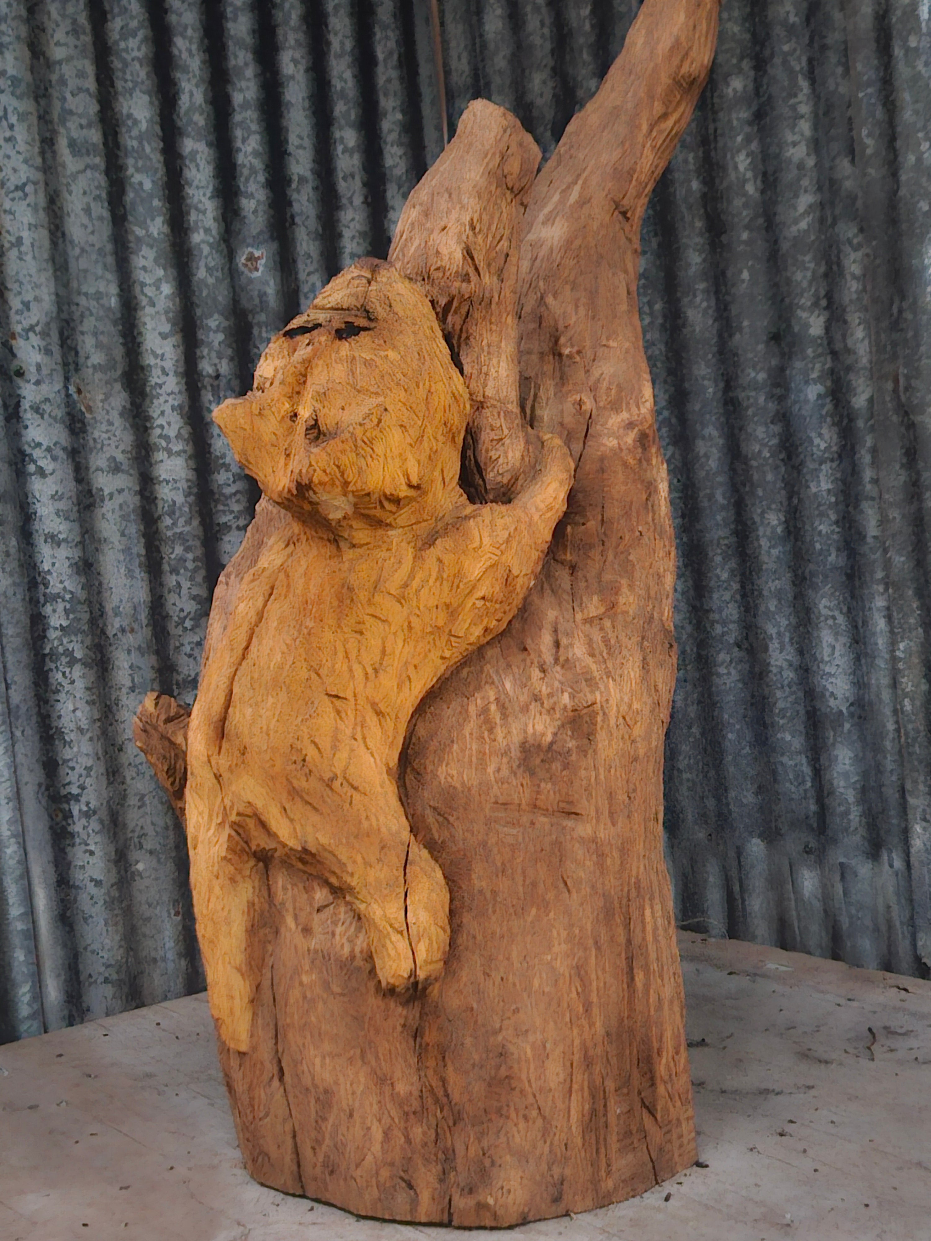 Animal Climbing a Tree
