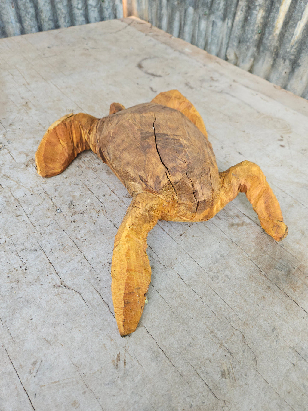 Sea Turtle