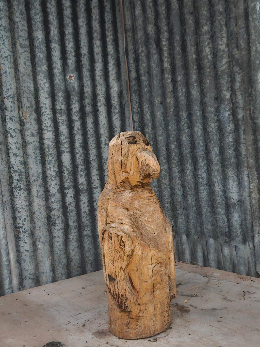 Penguin carving