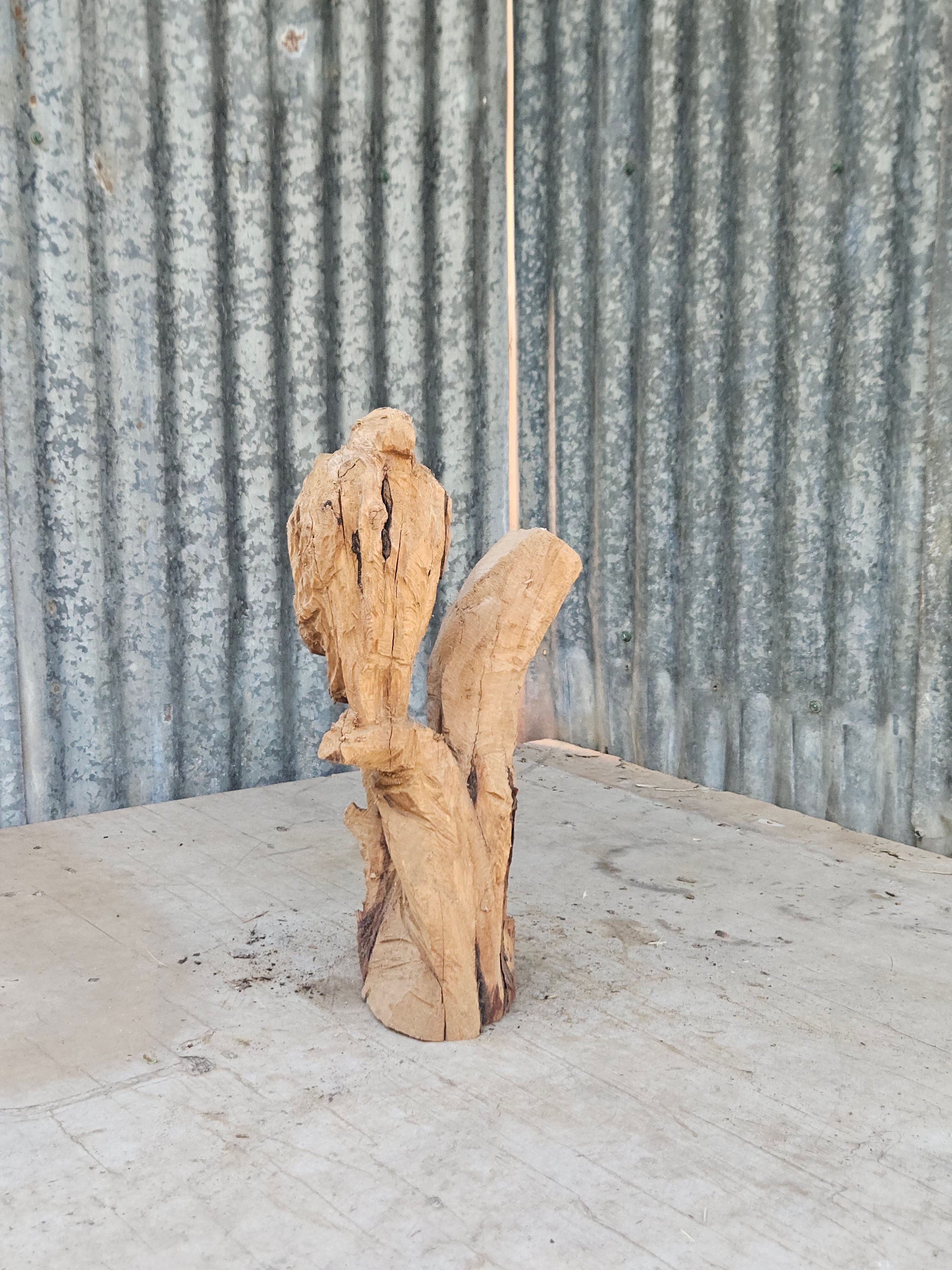 Bird in a Tree