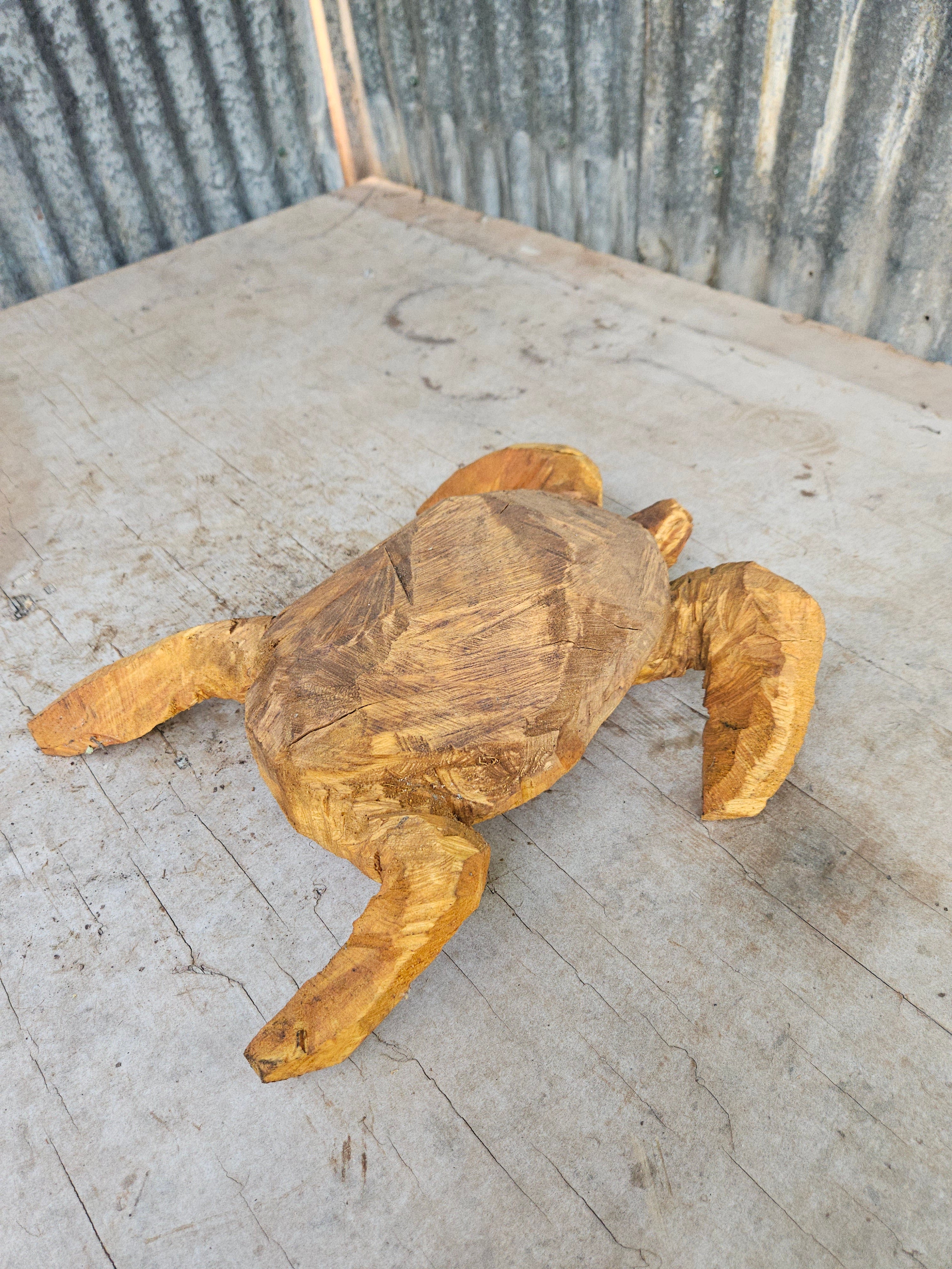 Sea Turtle