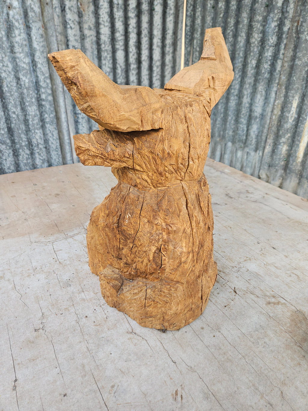 Highland cow