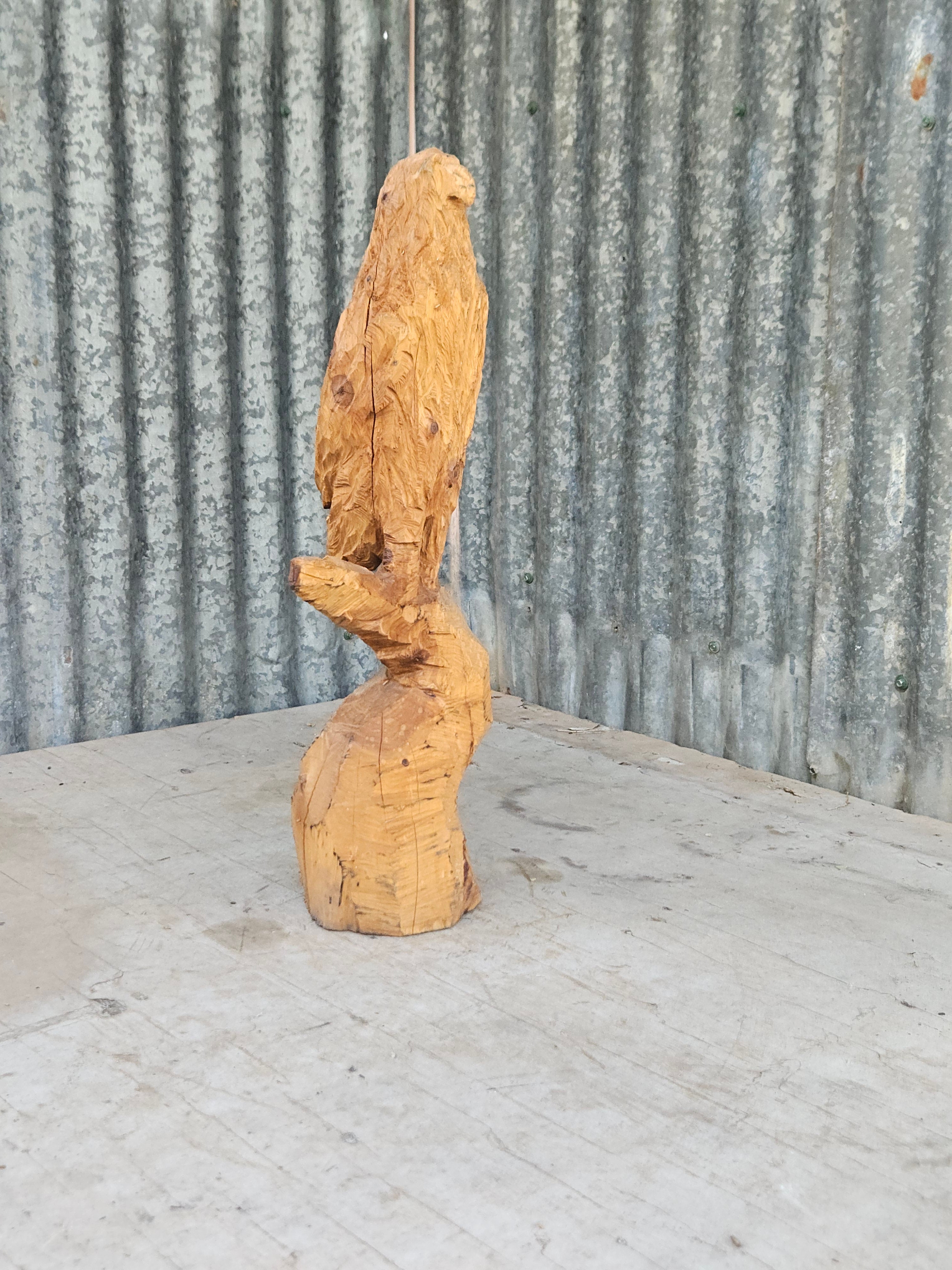 Hawk Carving