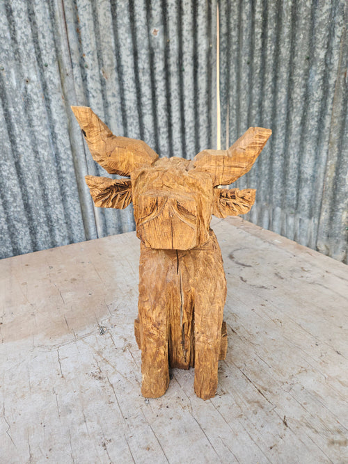 Highland cow