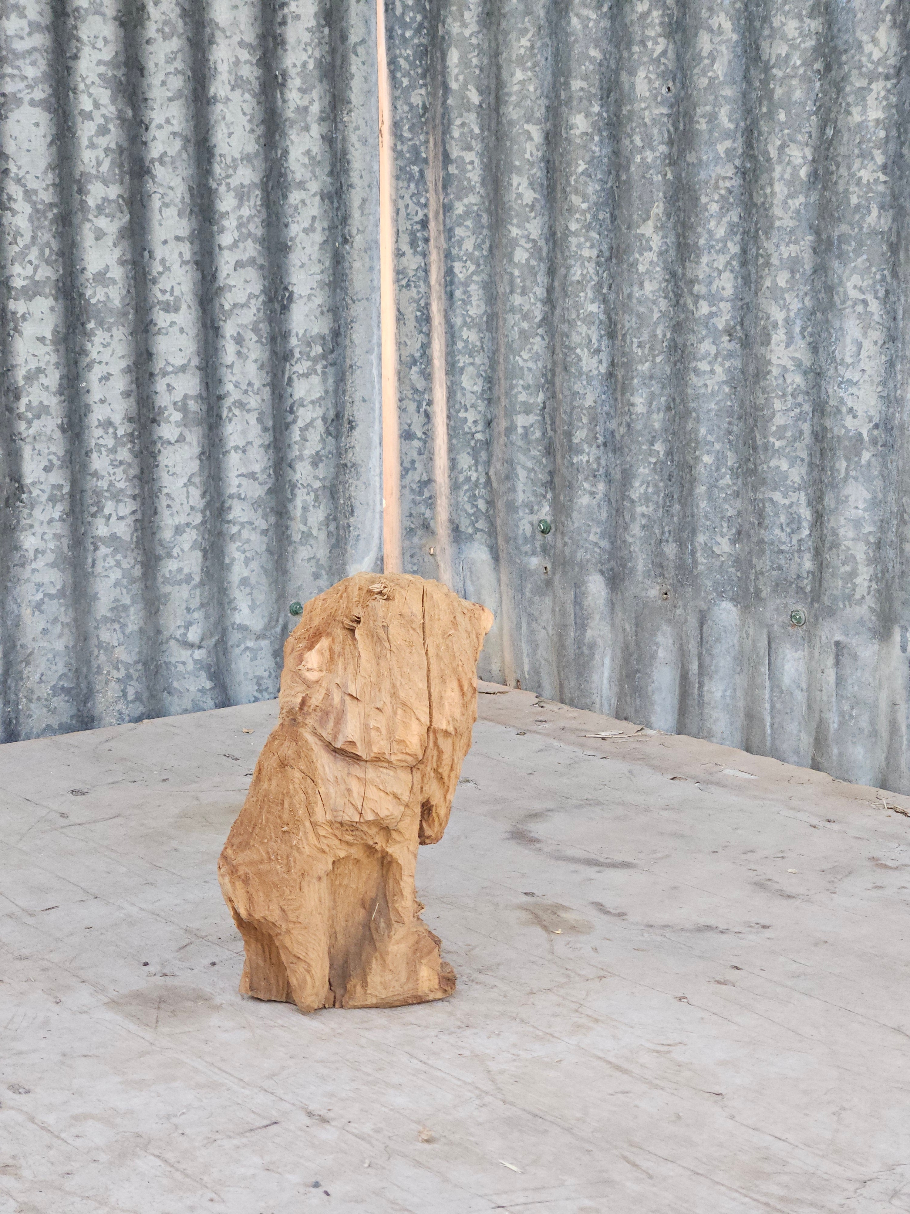 Small Lion  Chainsaw Carving