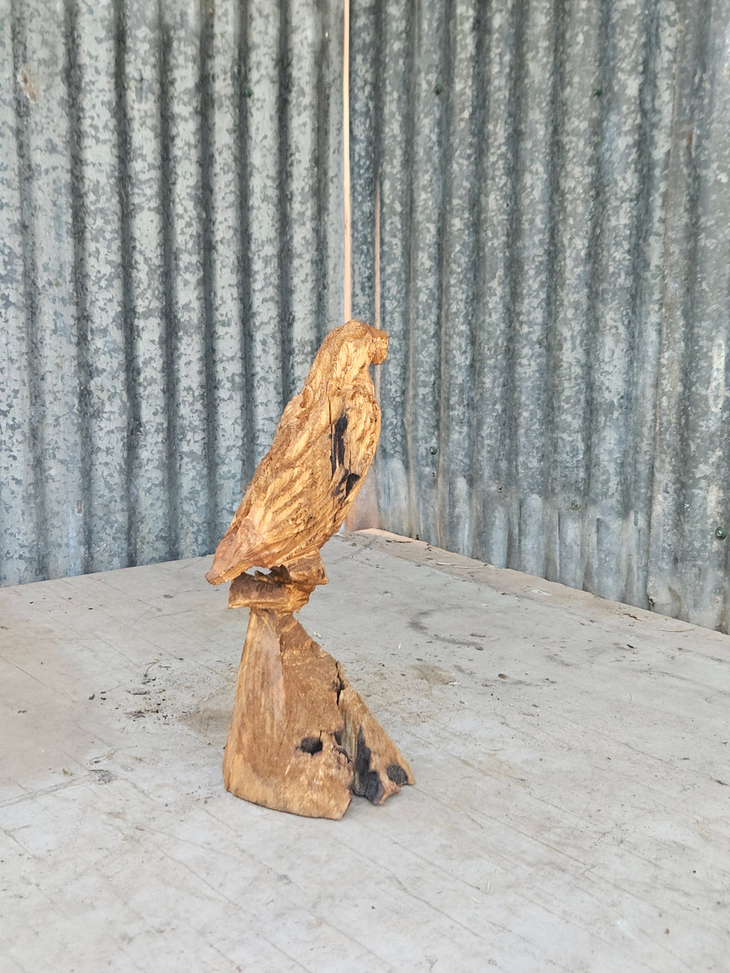 Perched Bird