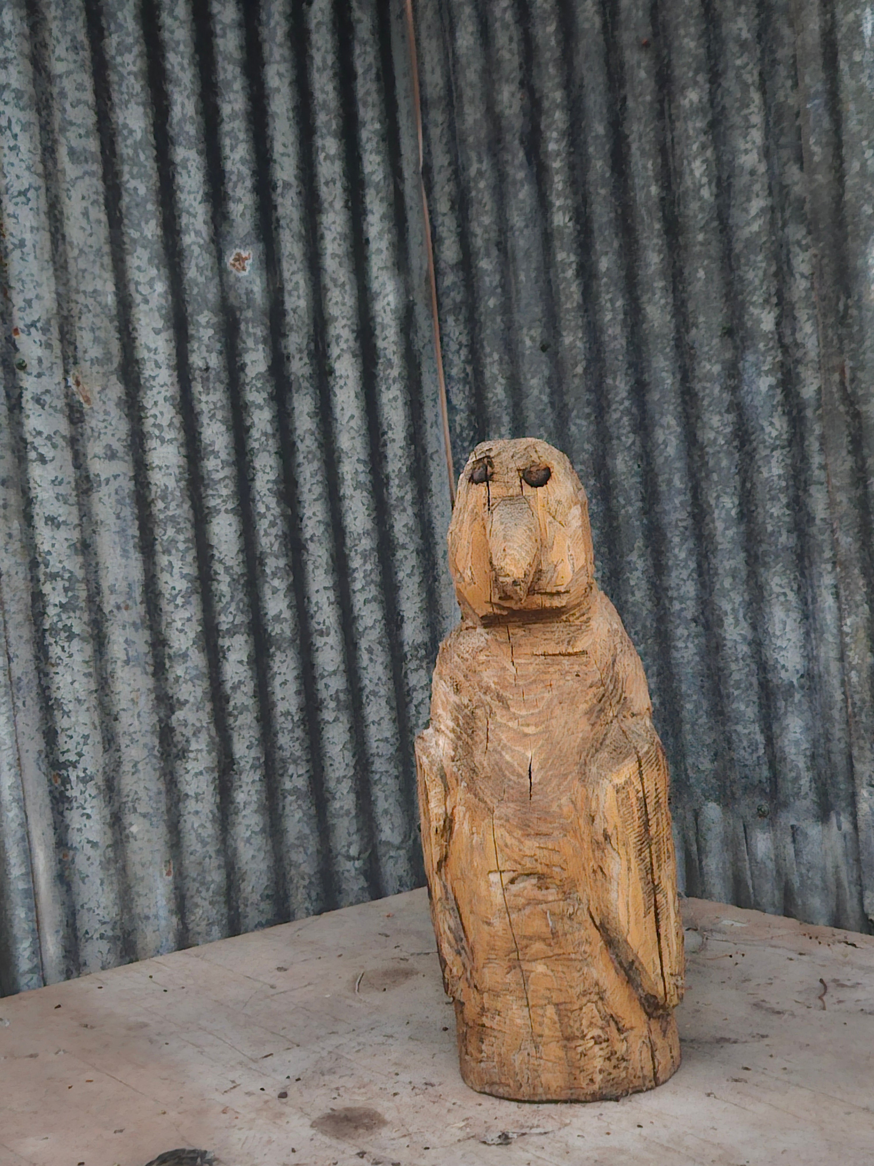 Penguin carving