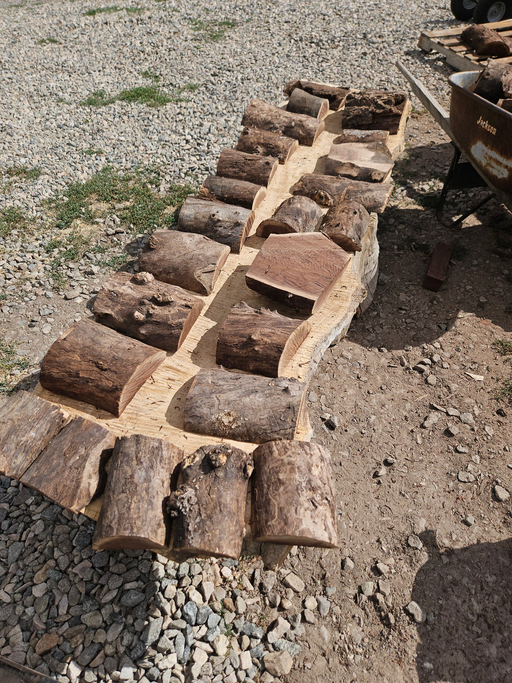 Black Walnut Half Rounds