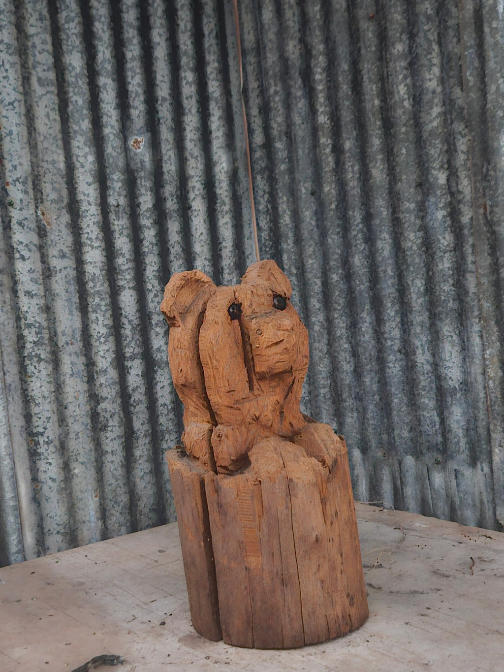 Bear in a Log