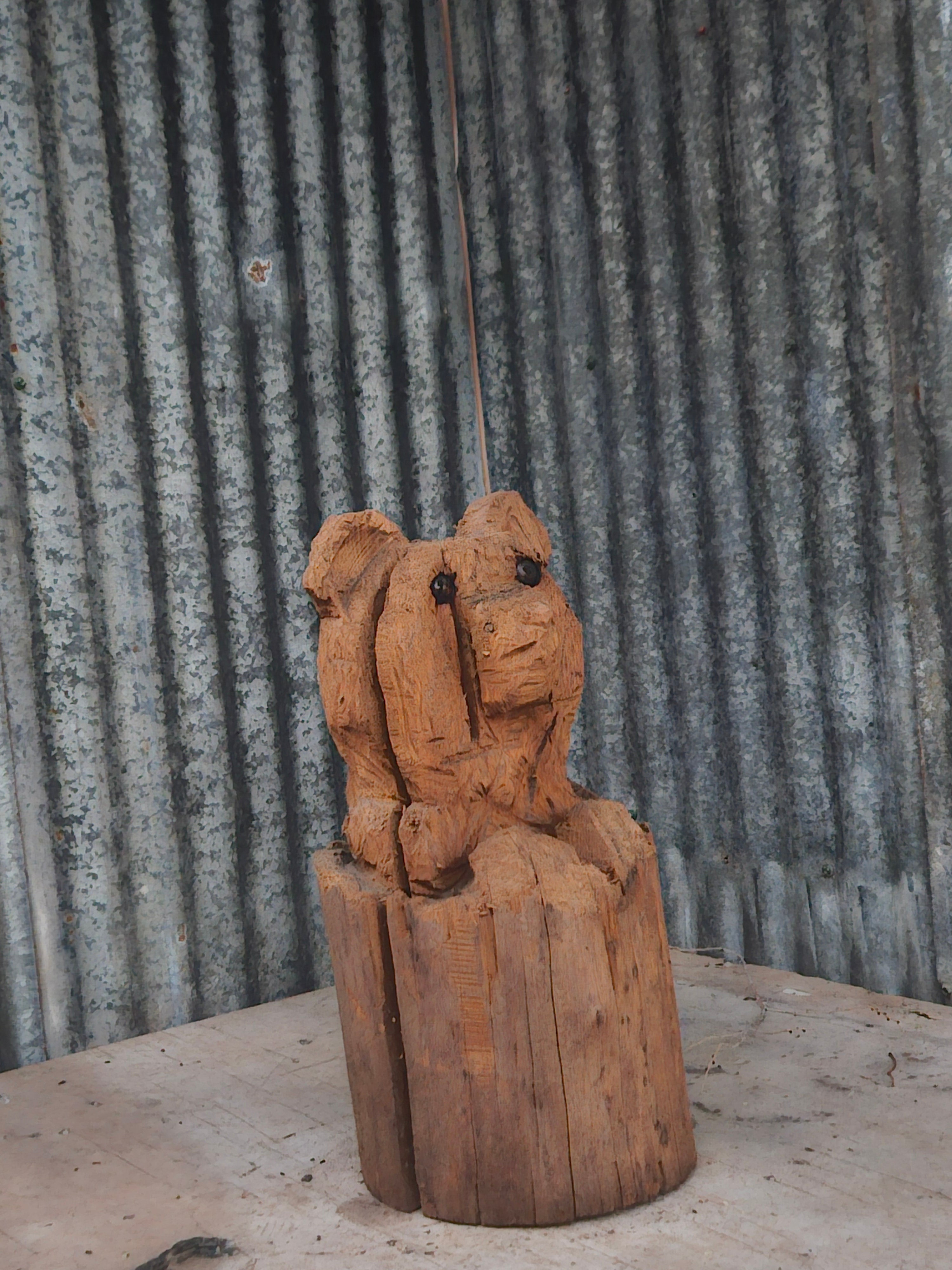 Bear in a Log