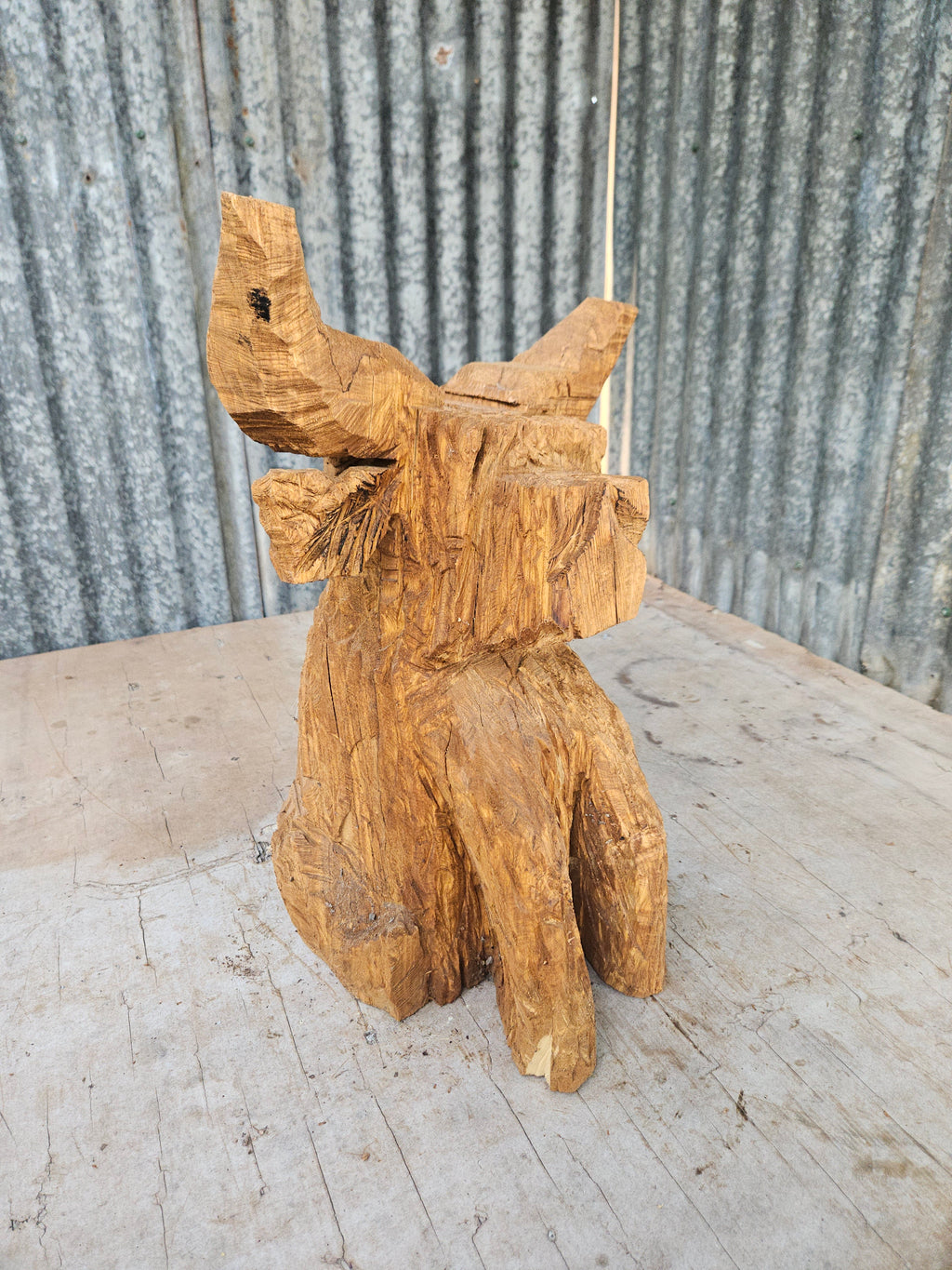 Highland cow