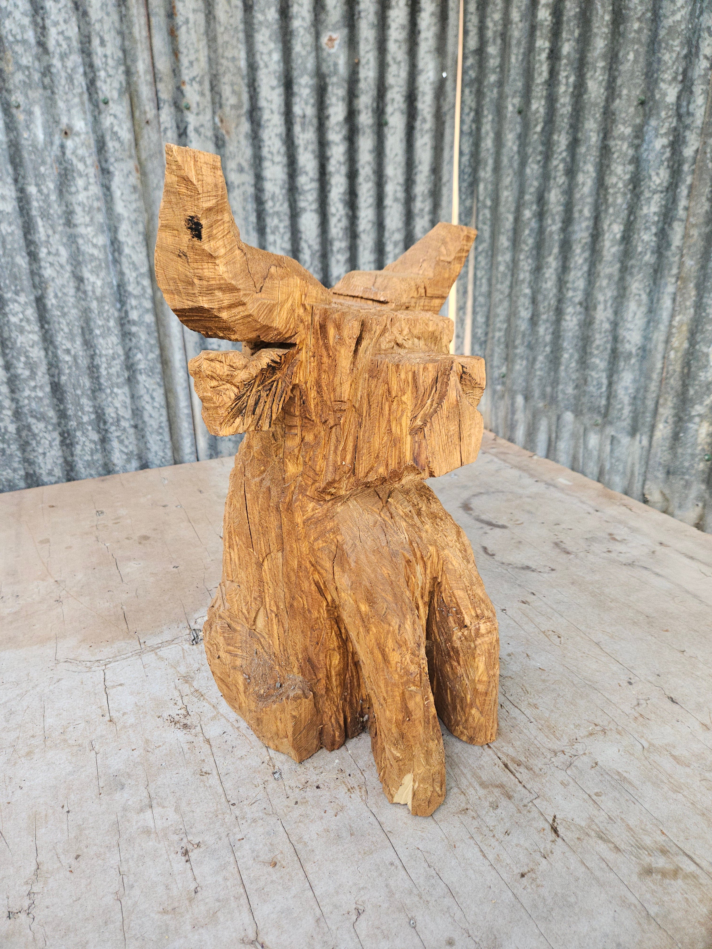 Highland cow