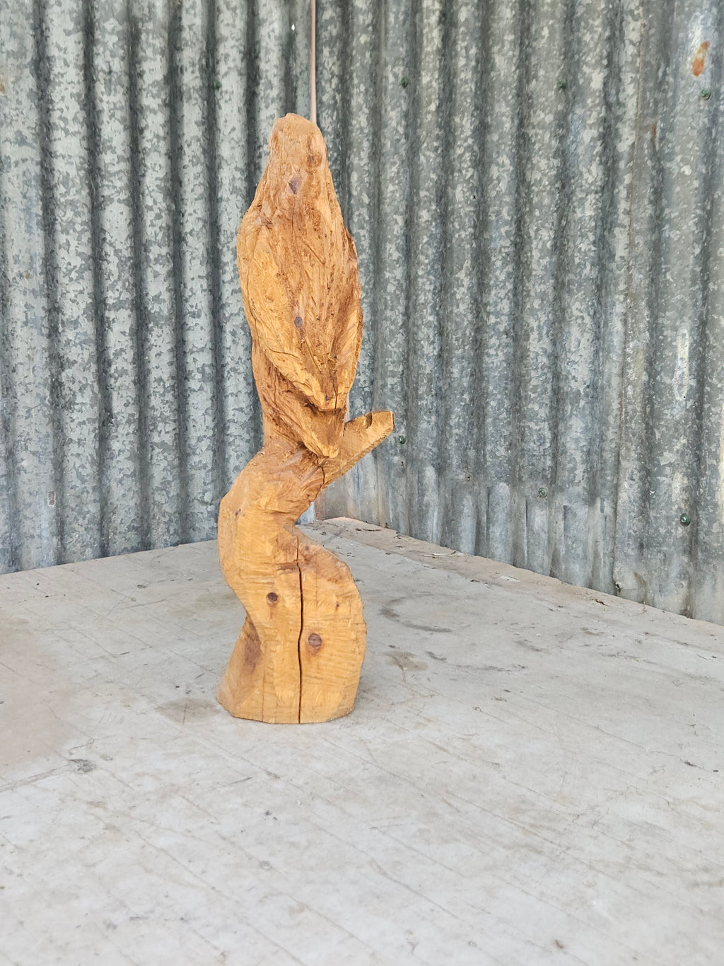 Hawk Carving