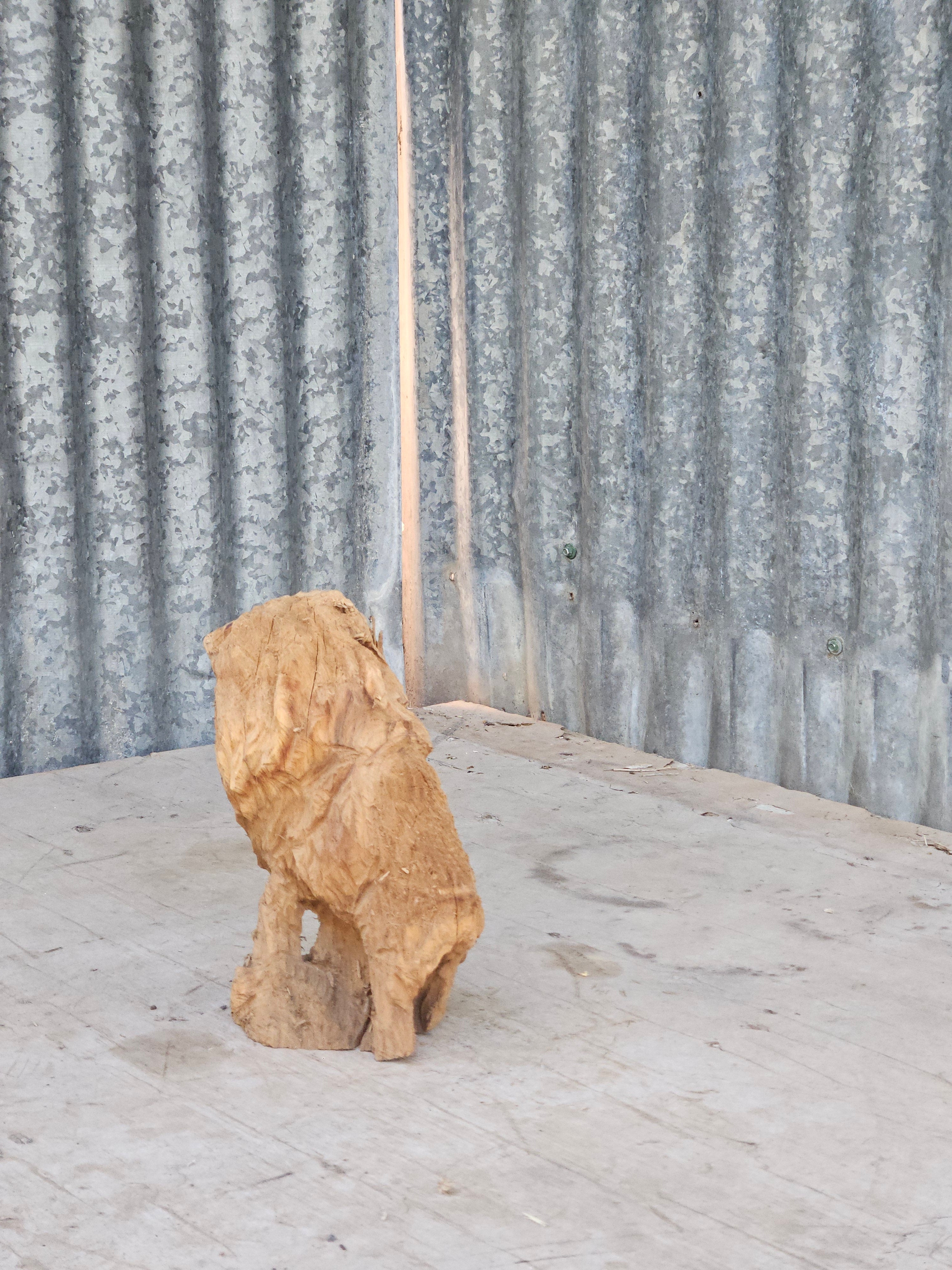Small Lion  Chainsaw Carving
