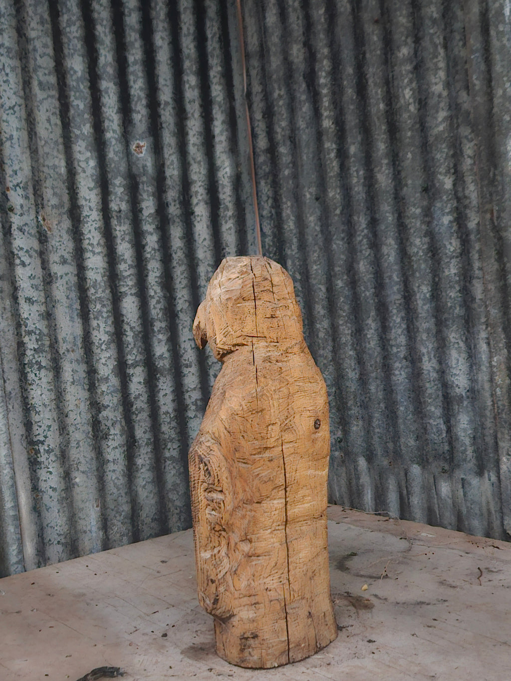 Penguin carving