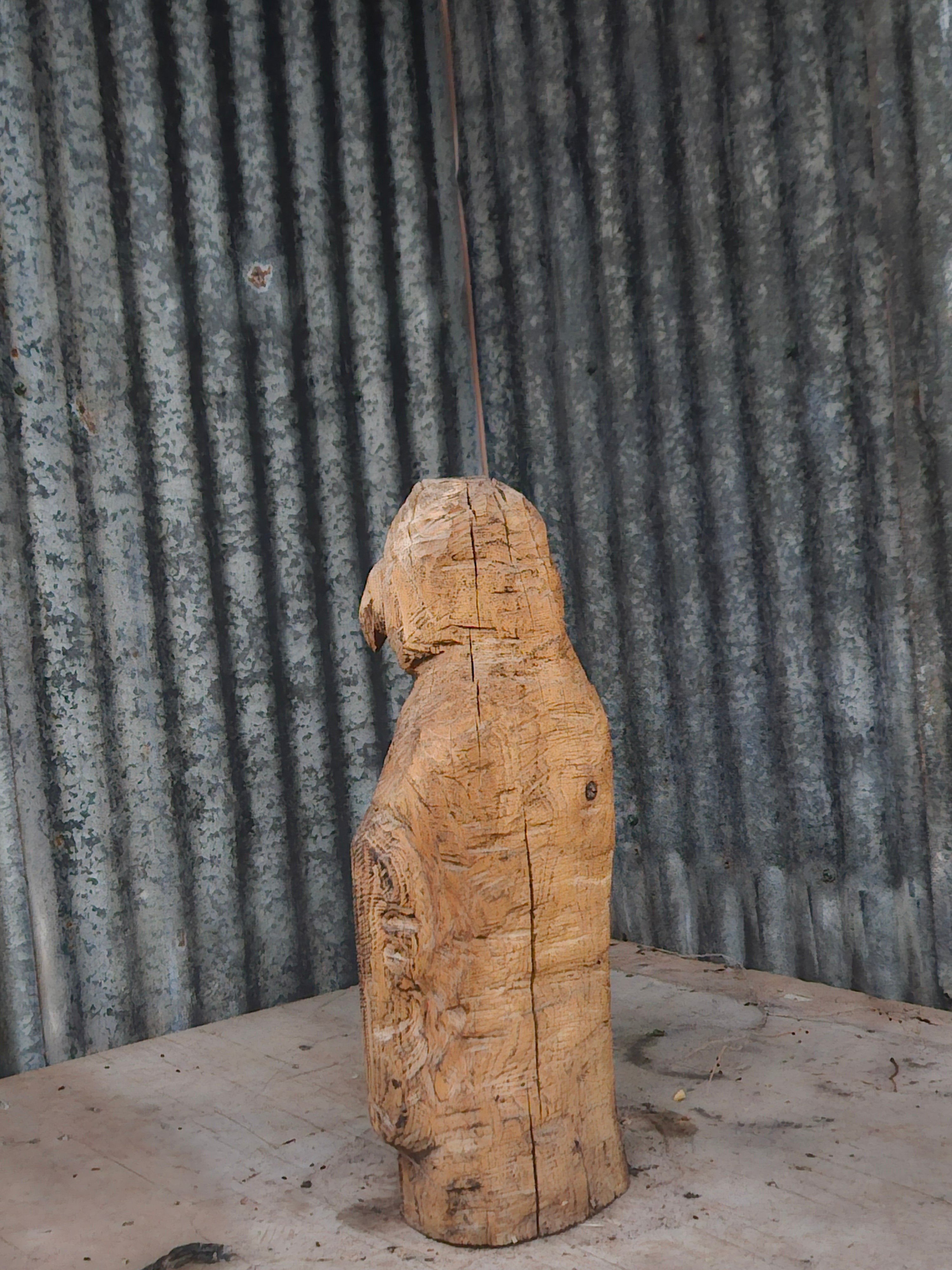 Penguin carving