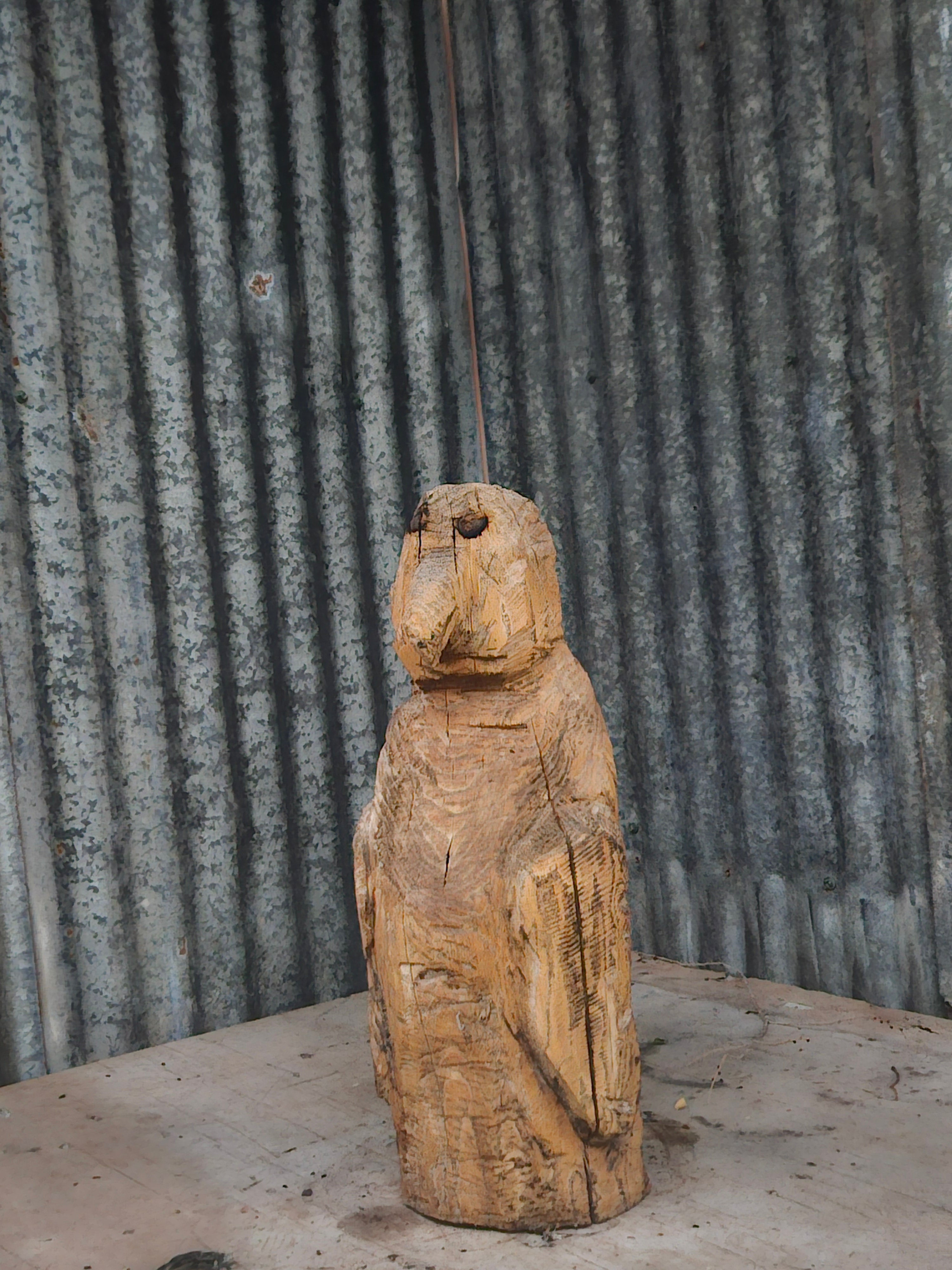 Penguin carving