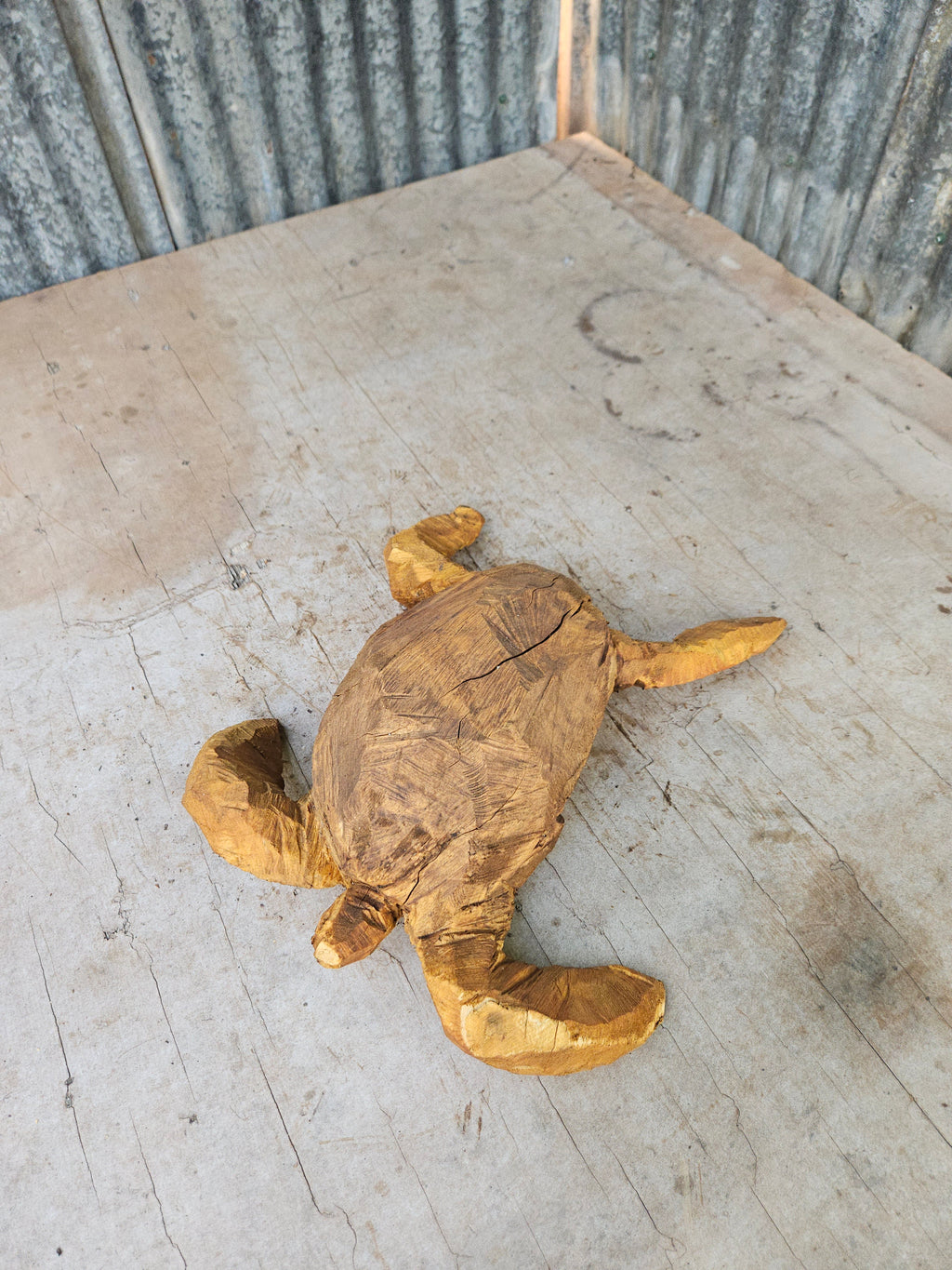 Sea Turtle