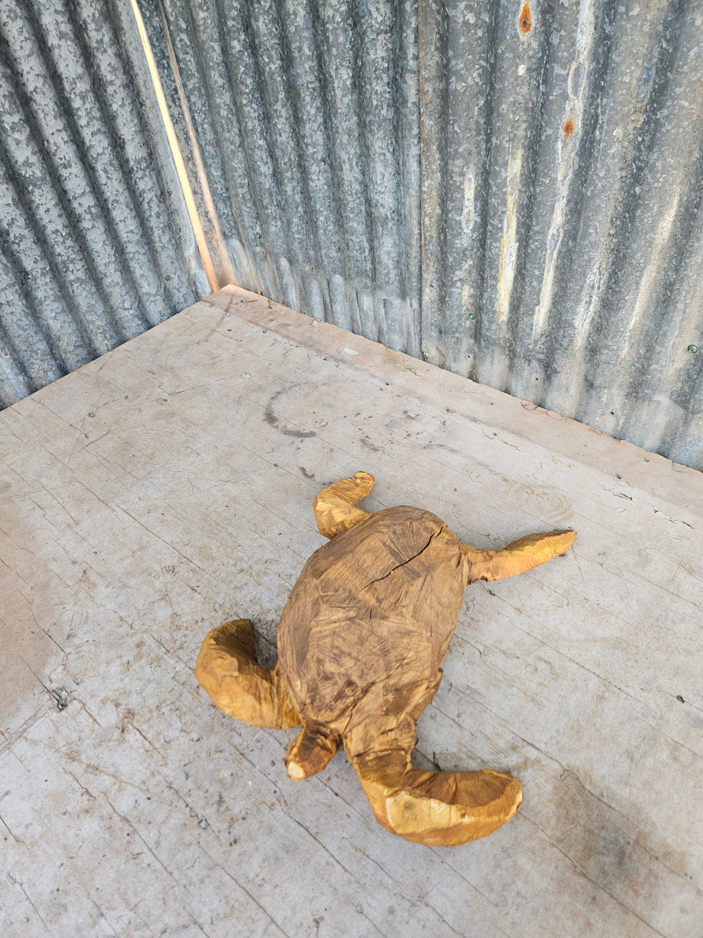 Sea Turtle
