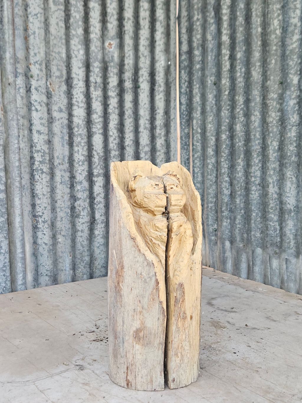 Bear in a Log