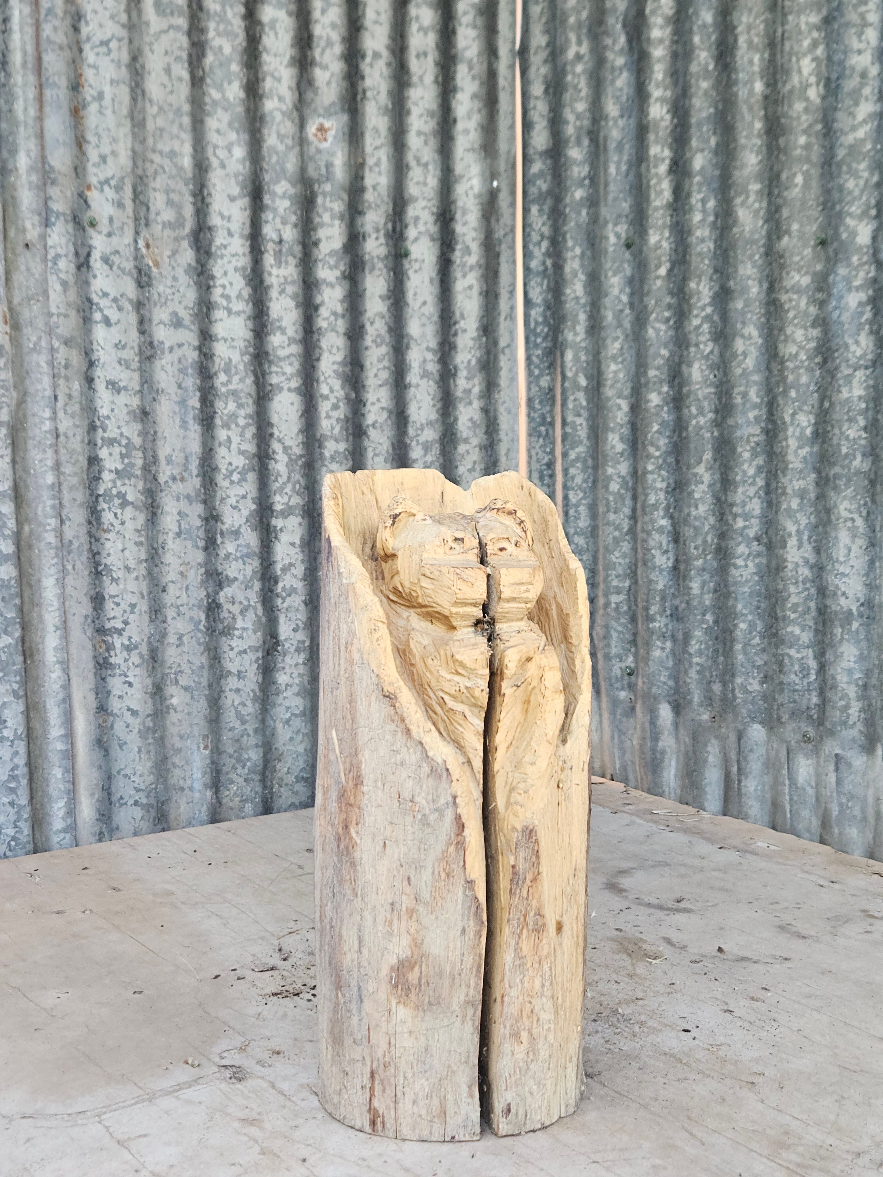 Bear in a Log