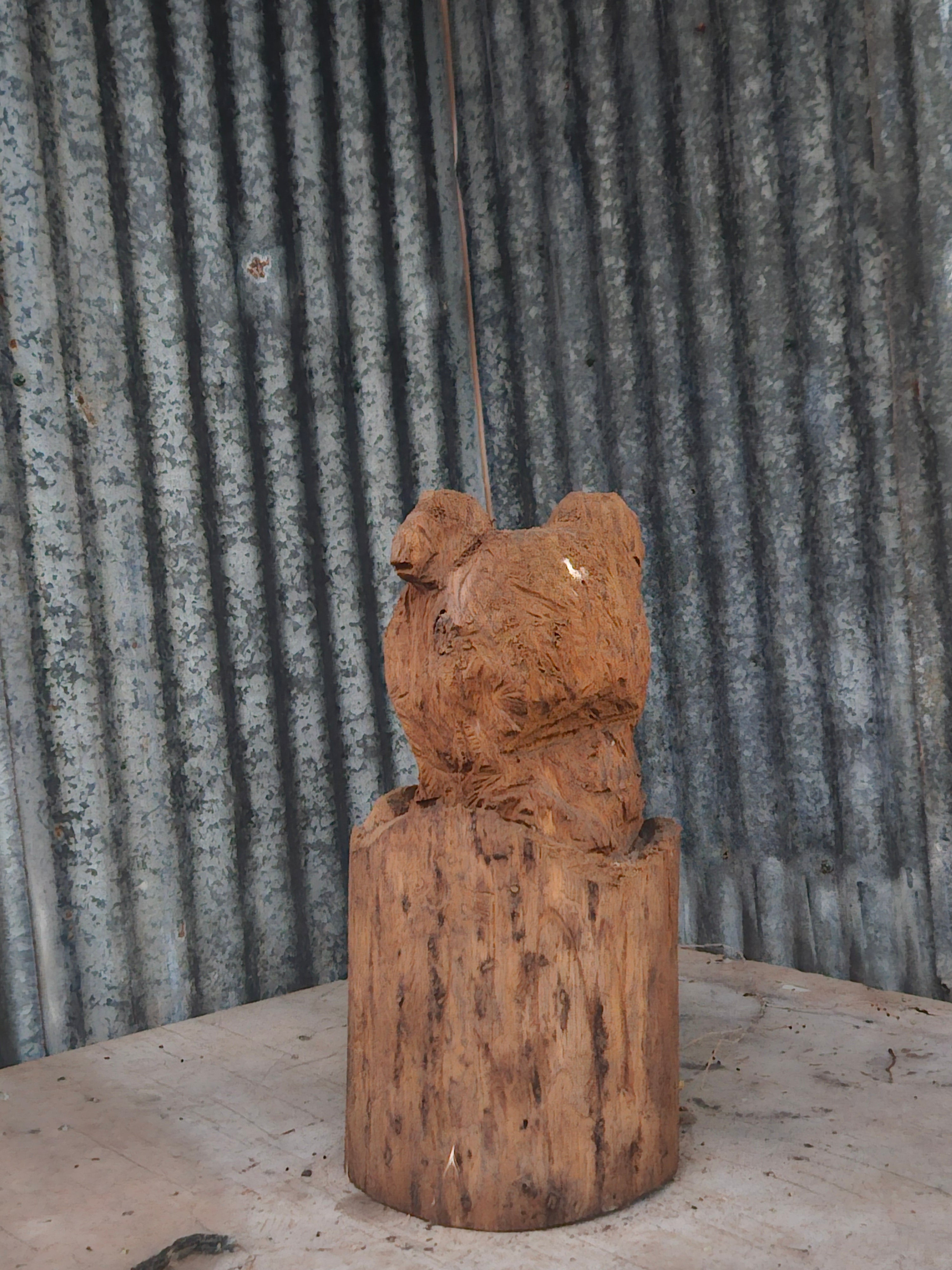 Bear in a Log