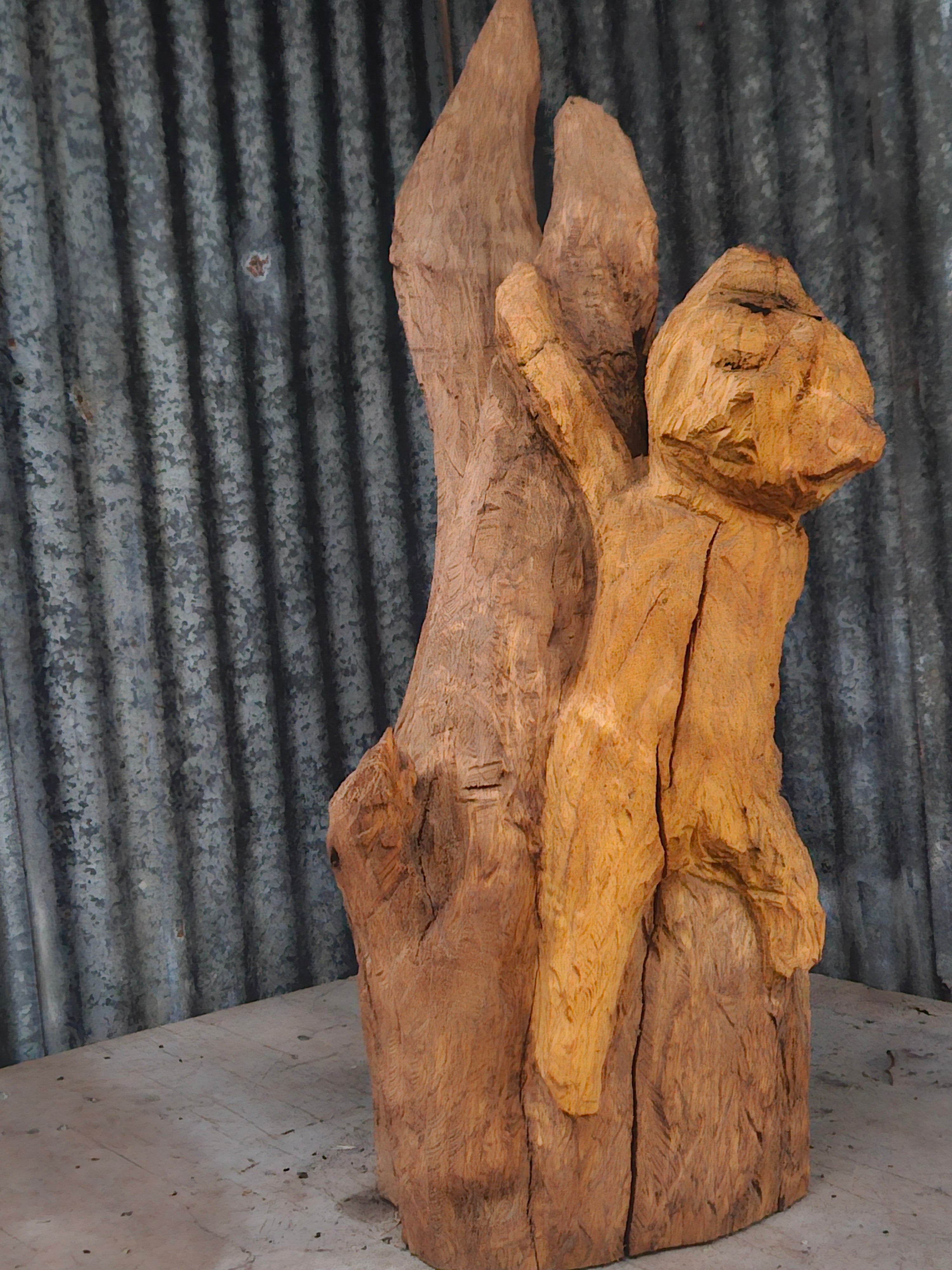 Animal Climbing a Tree