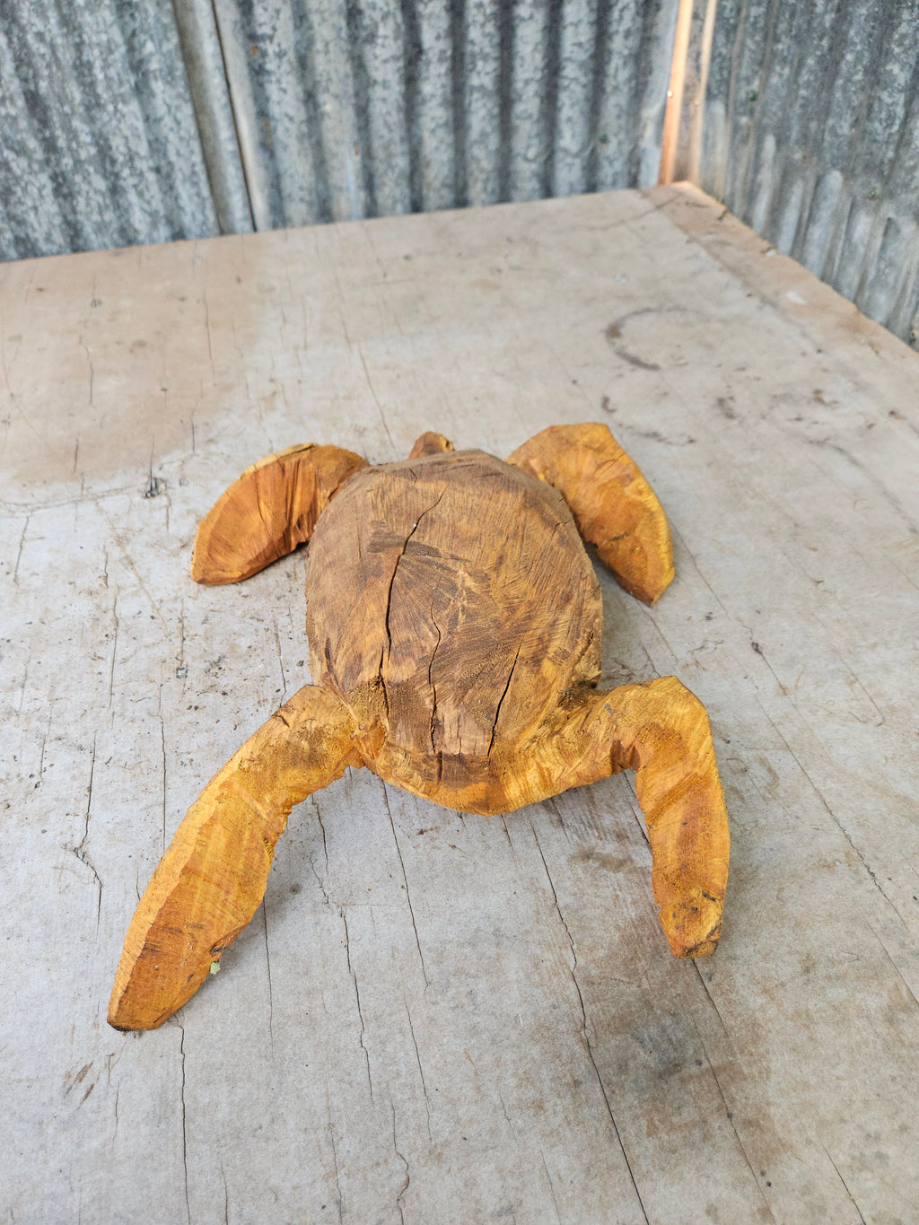 Sea Turtle