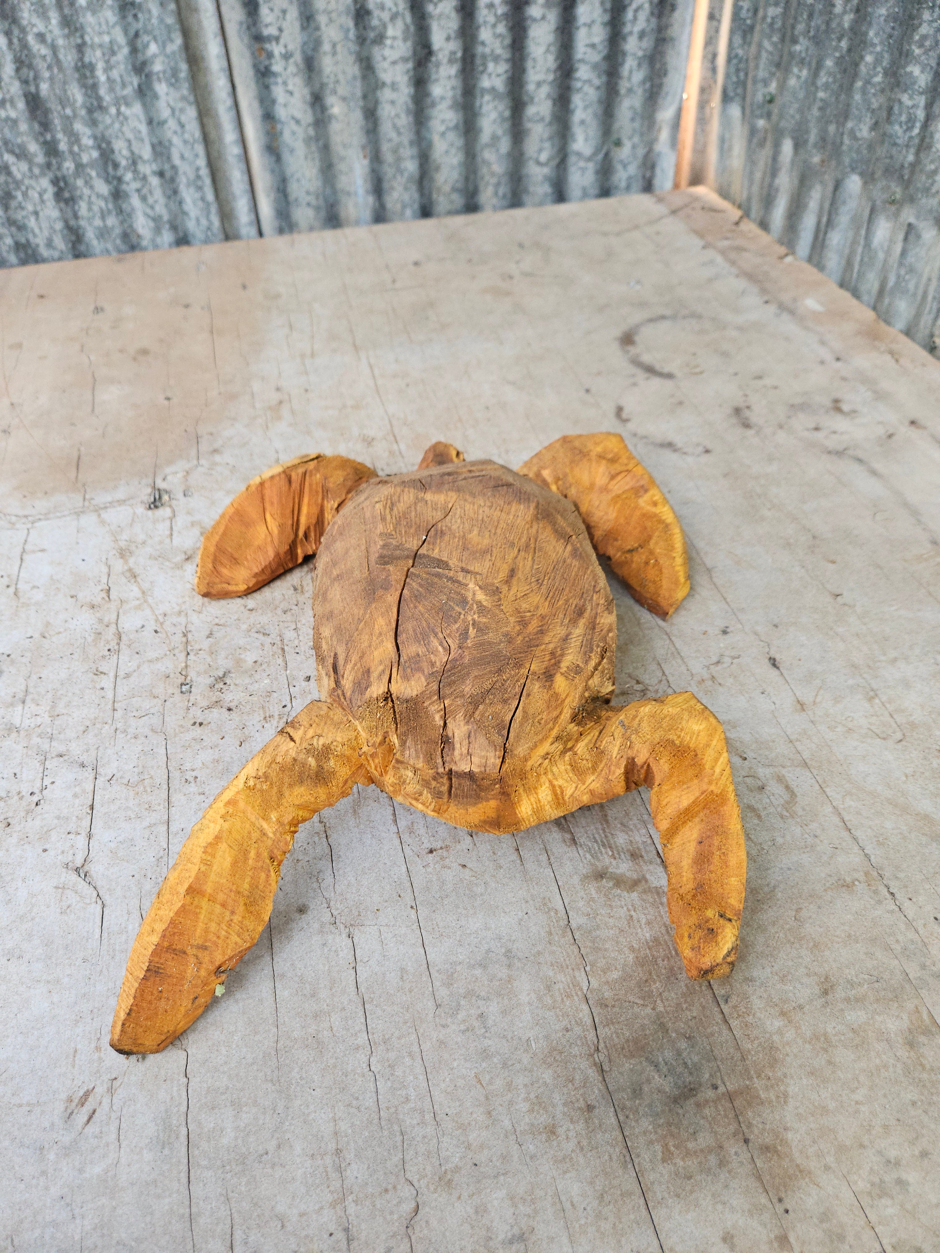 Sea Turtle