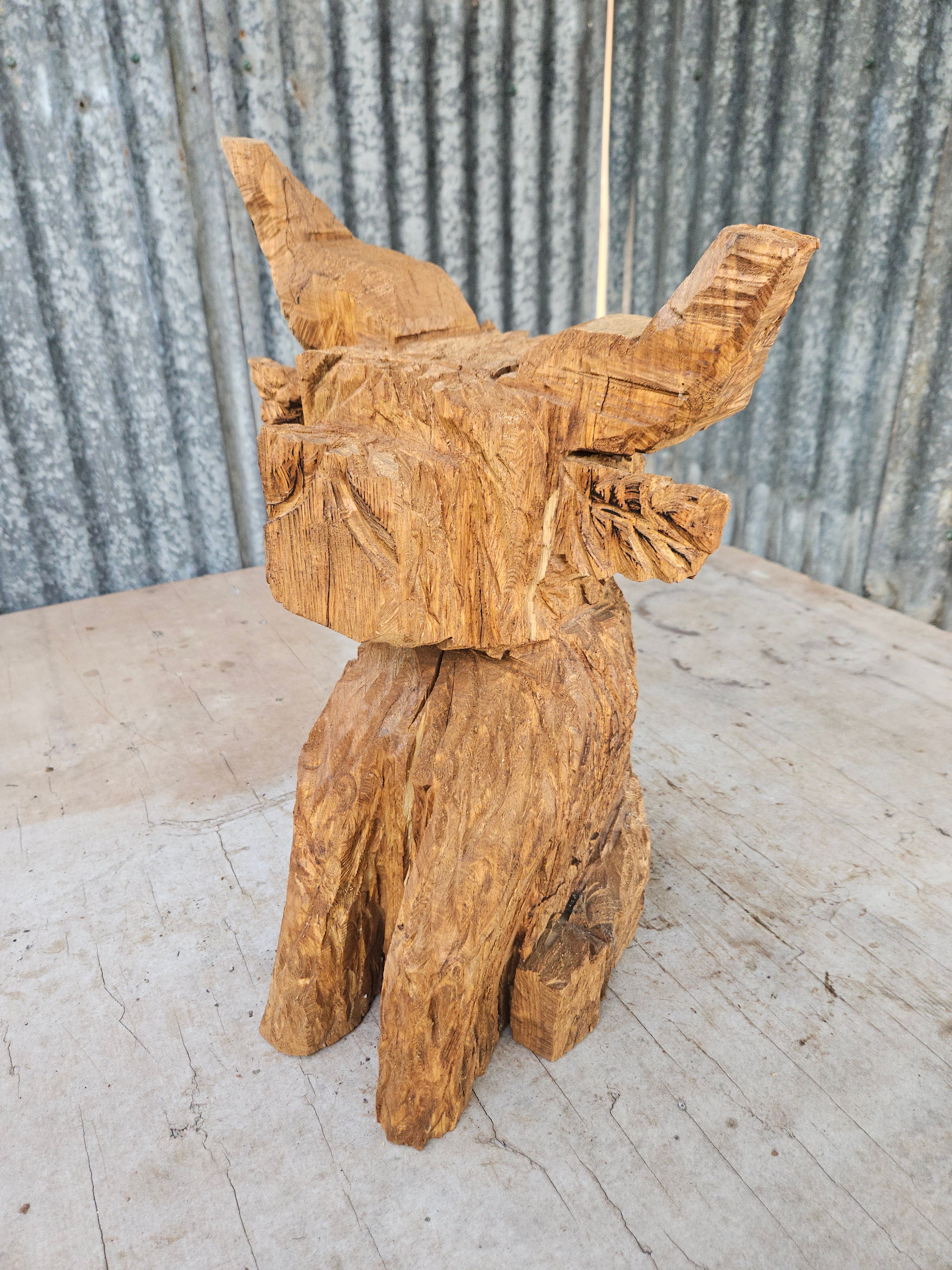 Highland cow