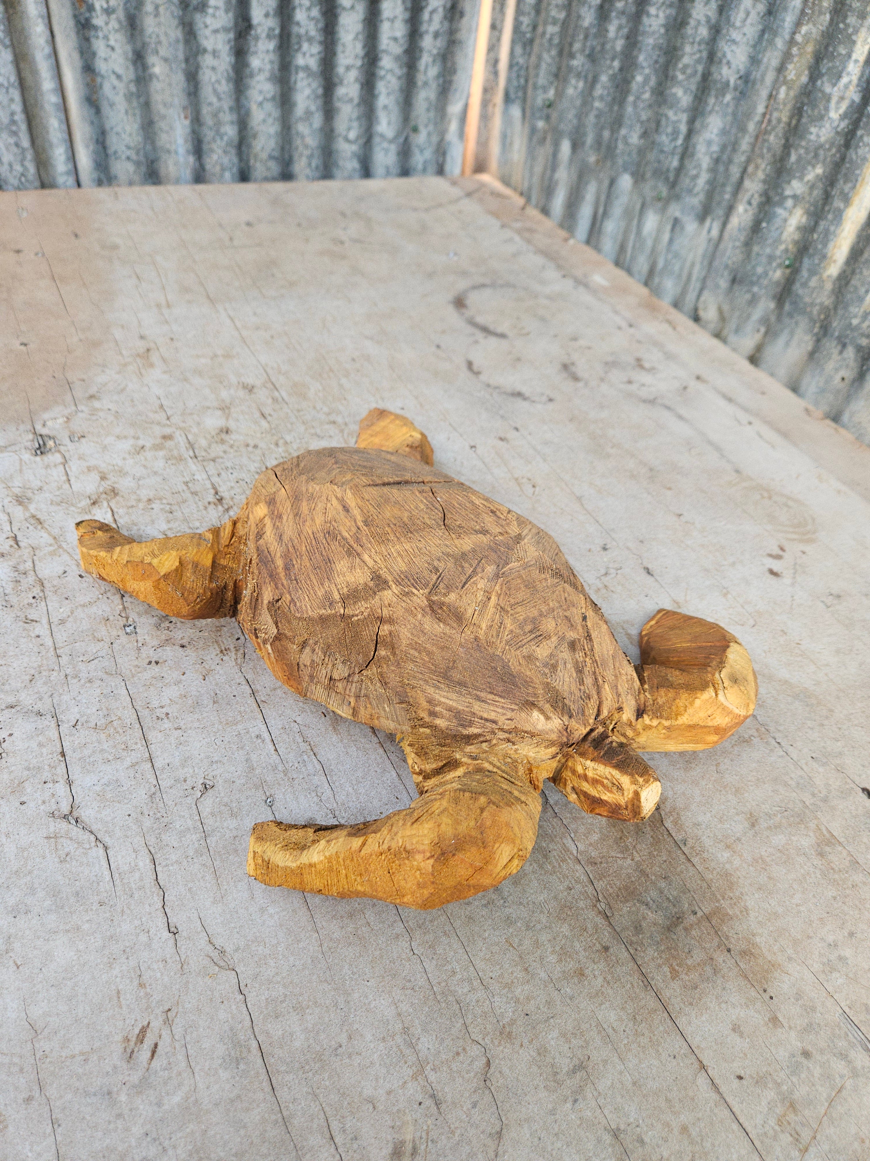 Sea Turtle