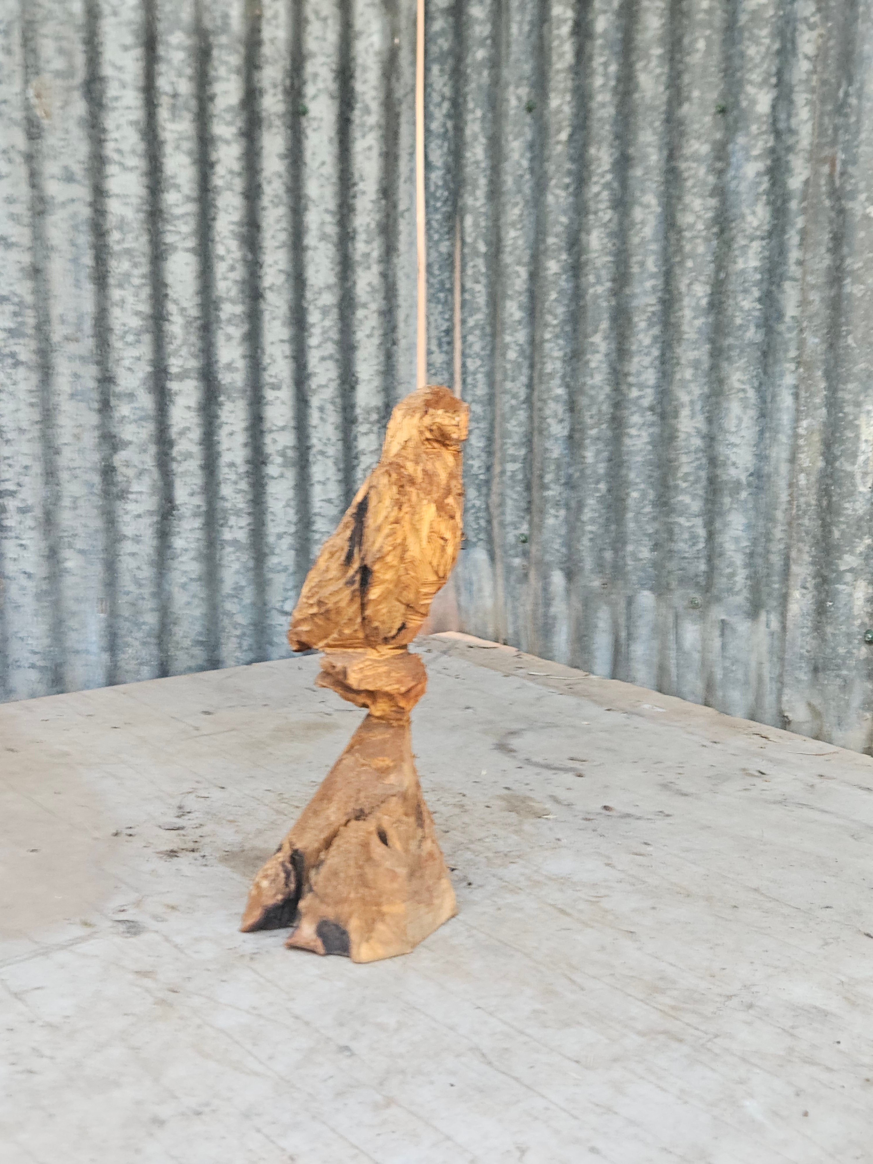 Perched Bird