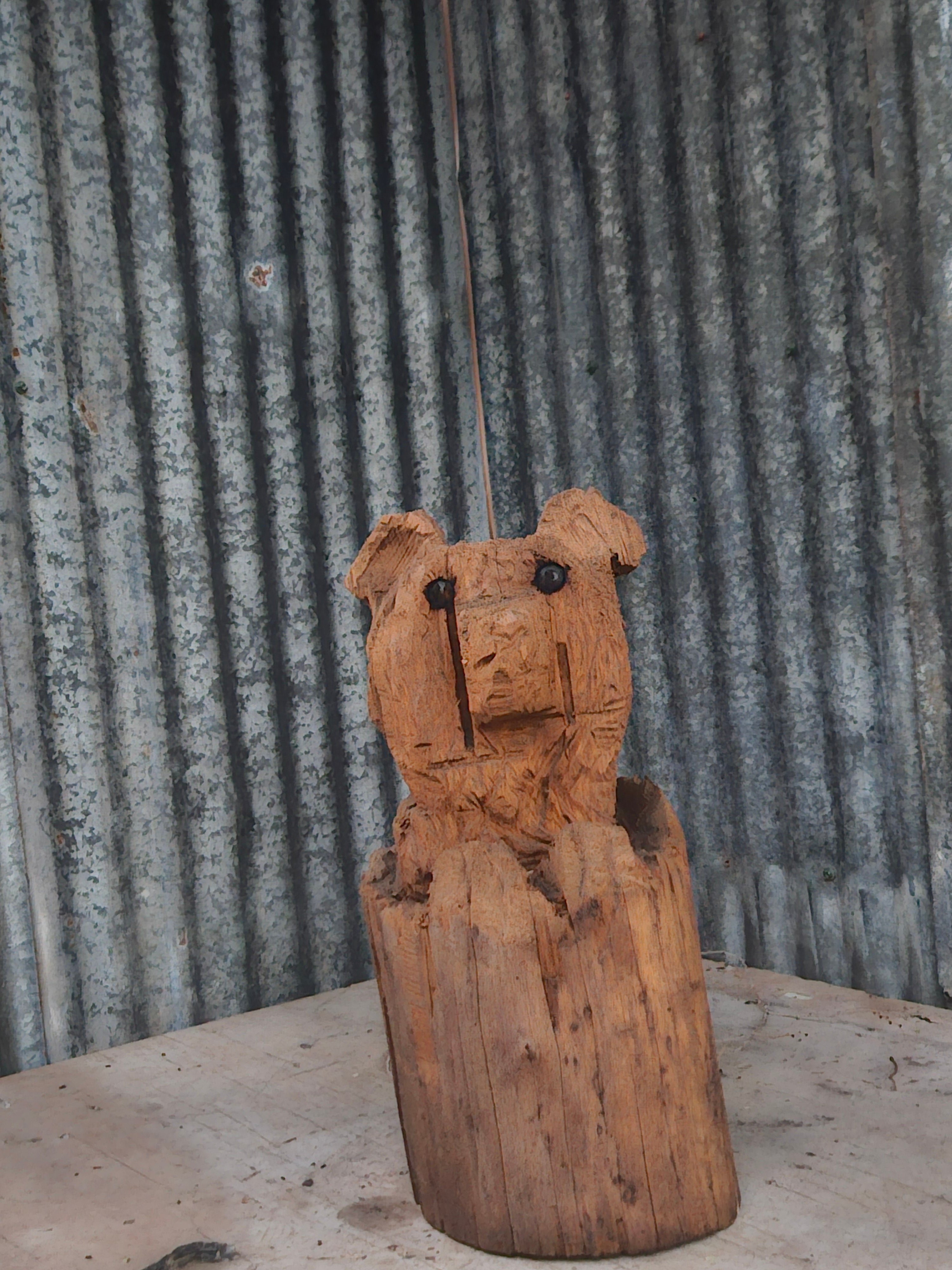 Bear in a Log