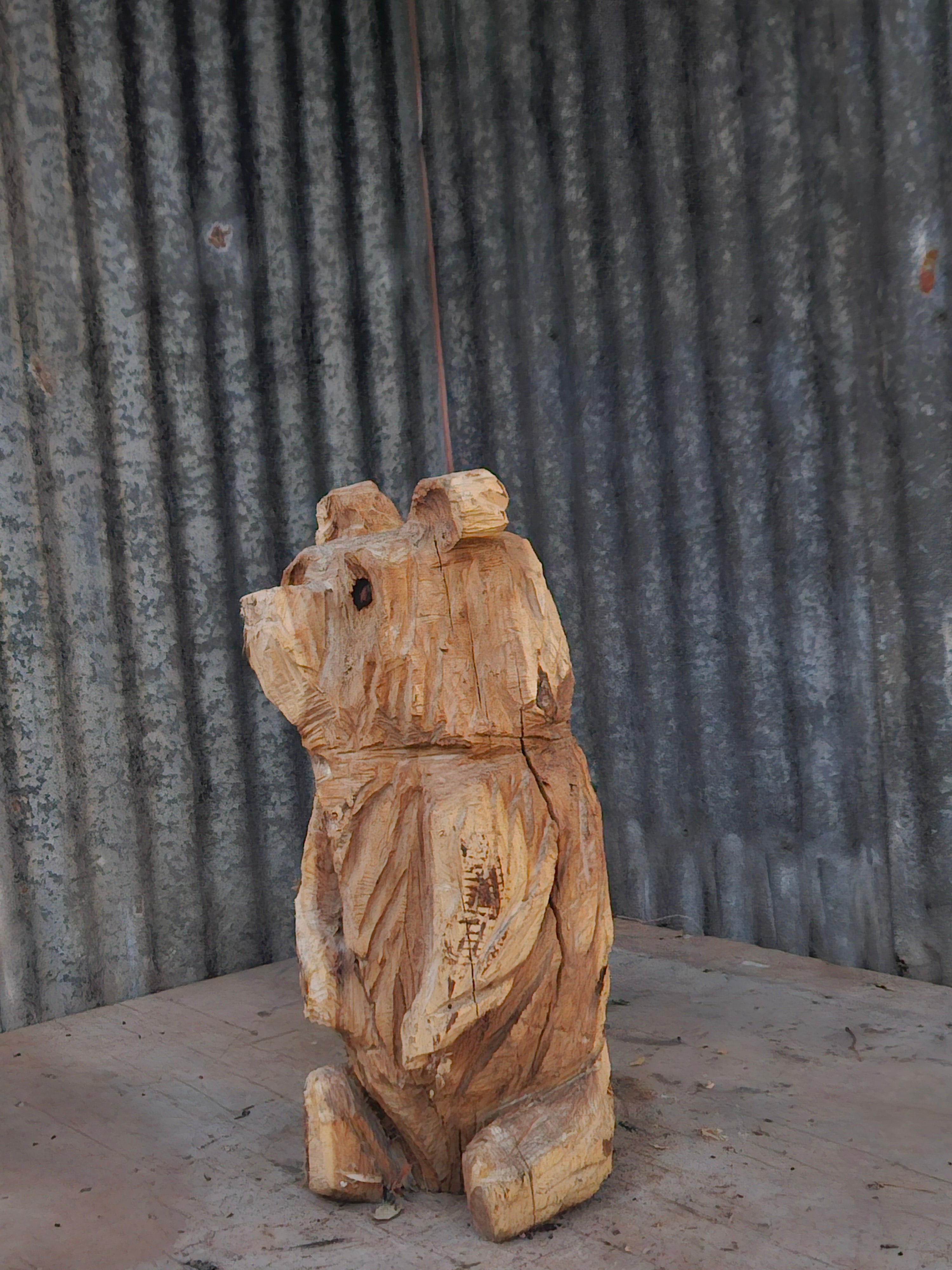 Adorable Chainsaw Bear