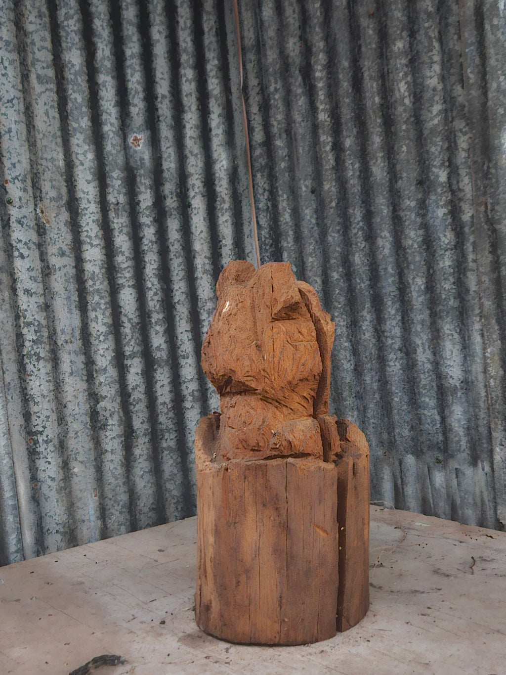 Bear in a Log