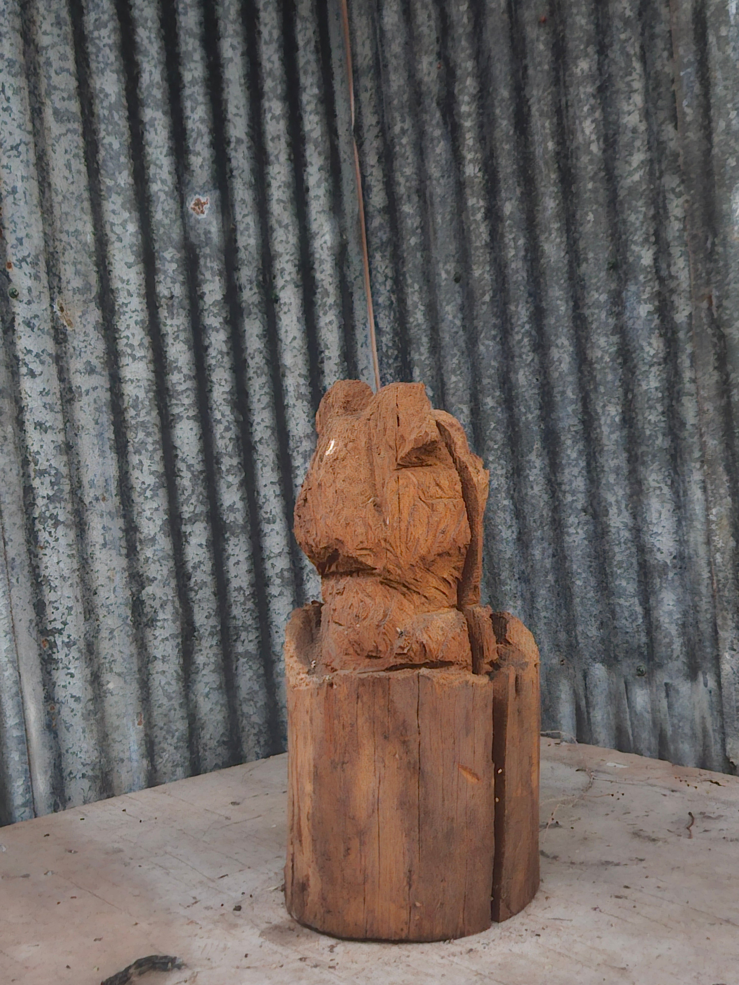Bear in a Log