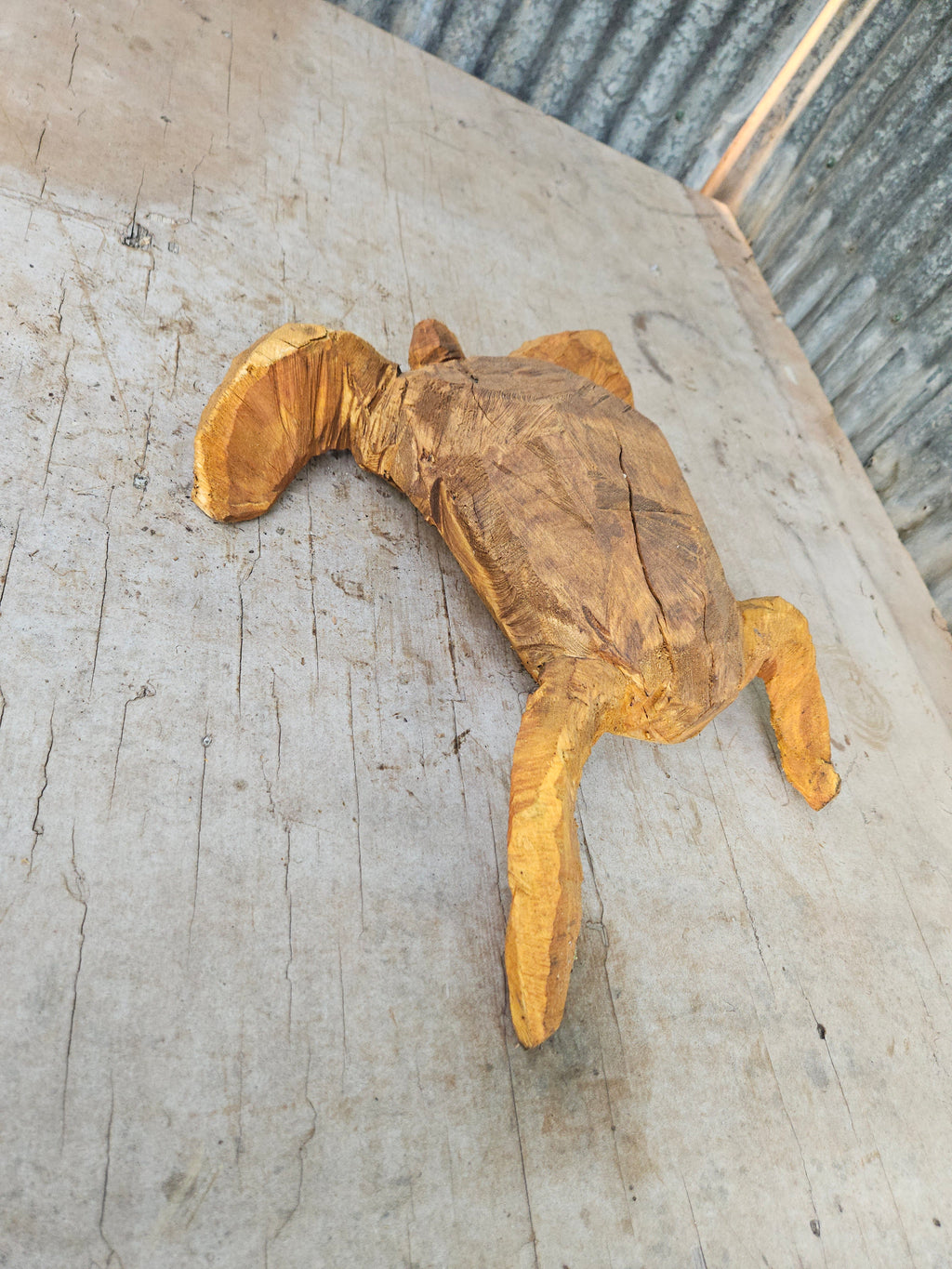 Sea Turtle