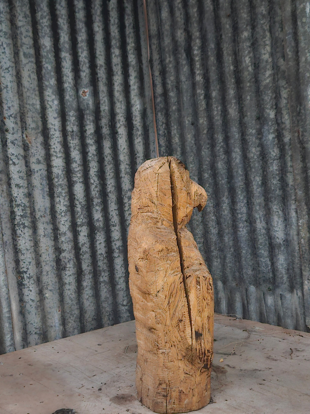 Penguin carving